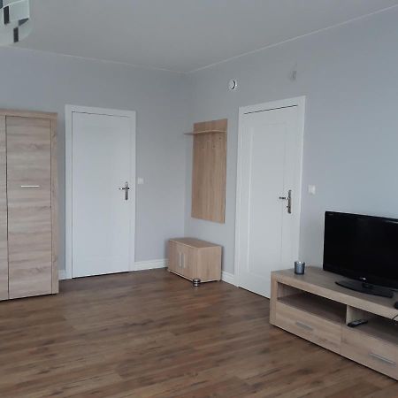 威利兹卡Apartament Wika公寓 外观 照片