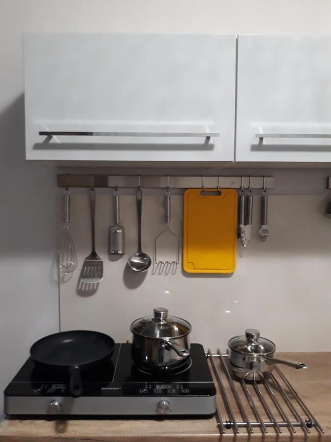 威利兹卡Apartament Wika公寓 外观 照片