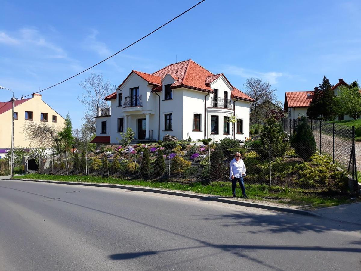 威利兹卡Apartament Wika公寓 外观 照片